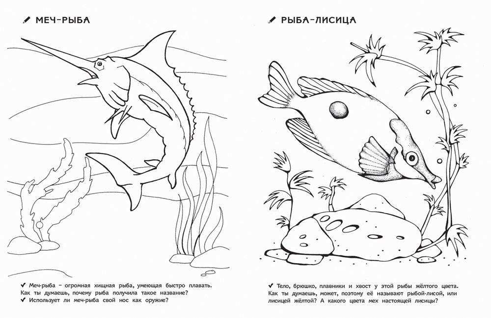 Раскраска для детского сада. Кто живет в воде фото книги 2
