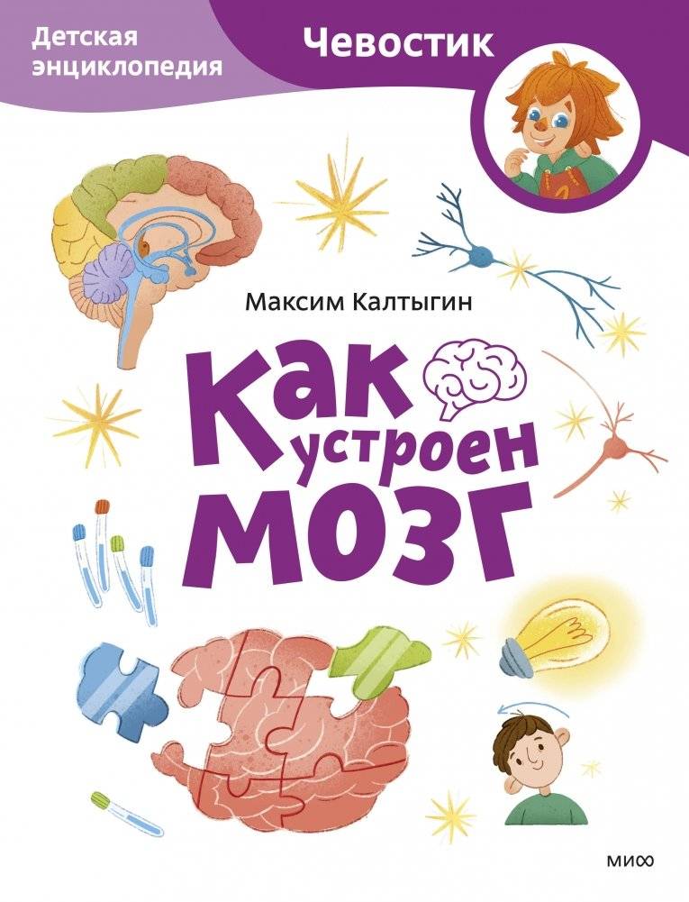 Как устроен мозг. Детская энциклопедия (Чевостик) | How the Brain Works: A Children's Encyclopedia (Chevastik)