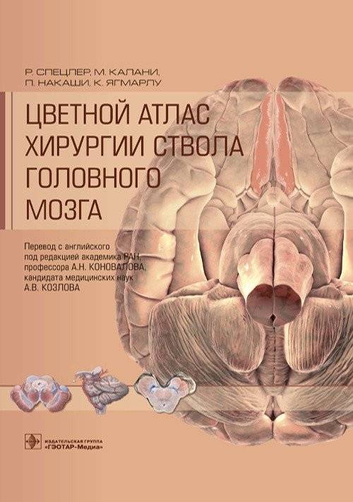 Цветной атлас хирургии ствола головного мозга | Color Atlas of Brainstem Surgery