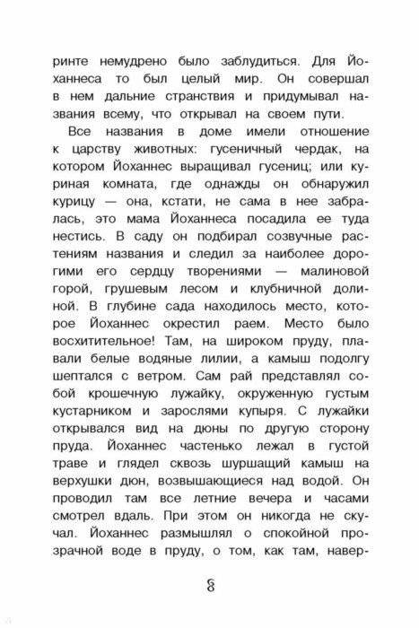 Маленький Йоханнес фото книги 3