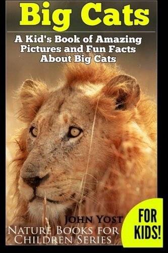 Big Cats. A Kid's Book of Amazing Pictures and Fun Facts About Big Cats: Lions Tigers and Leopards | Big Cats: Amazing Pictures and Fun Facts for Kids – Lions, Tigers & Leopards