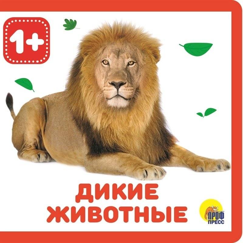 Дикие животные, книга для детей от 1 года | Wild Animals, Book for Children from 1 Year