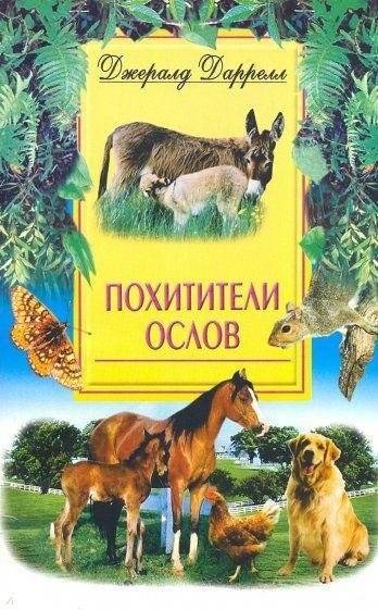 Похитители ослов | The Donkey Rustlers