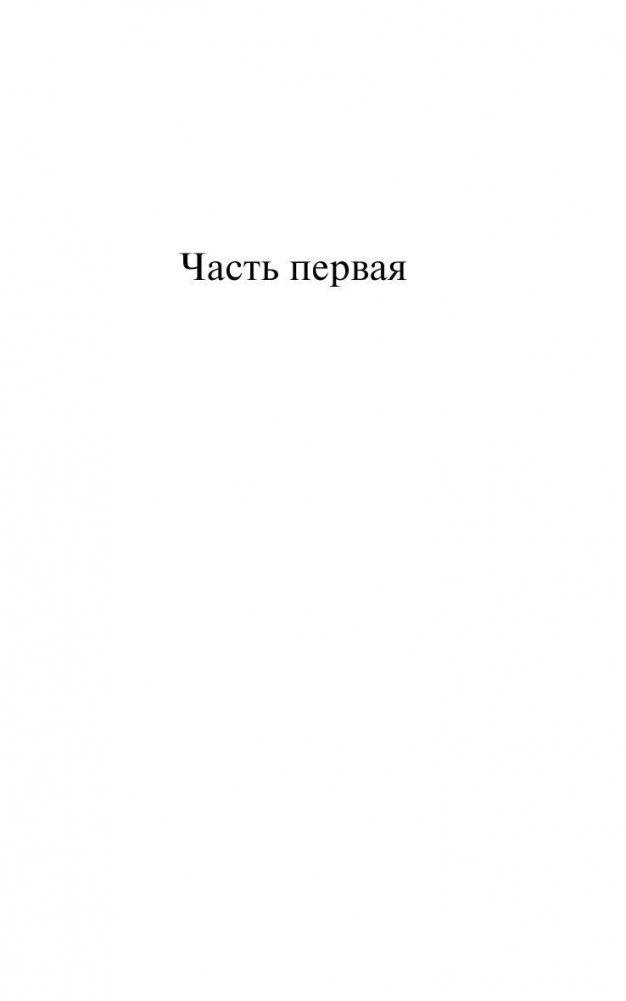 Почерк Леонардо фото книги 5