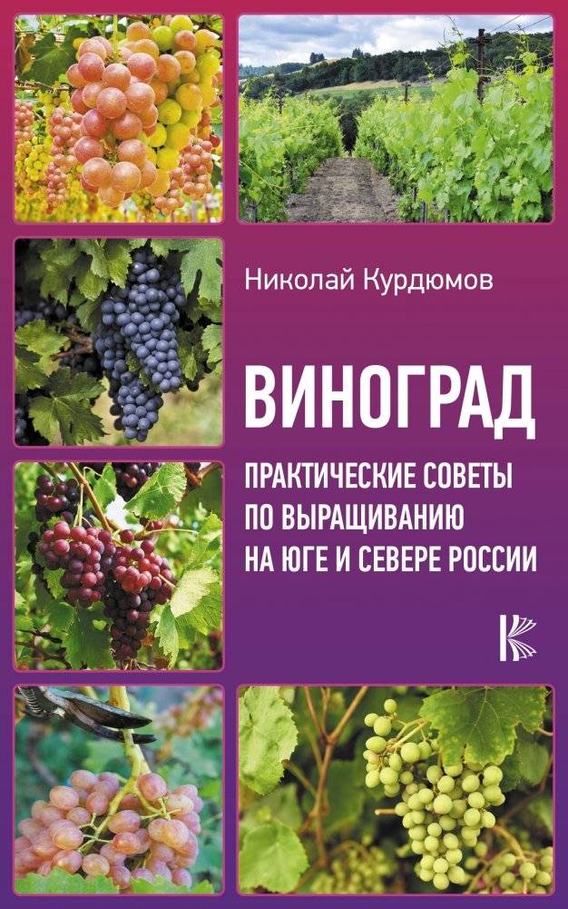 Виноград. Практические советы по выращиванию на юге и севере России | Grapes: Practical Advice for Growing in Southern and Northern Russia