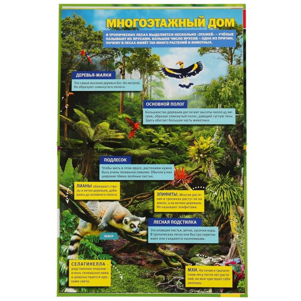 Тропические леса фото книги 3