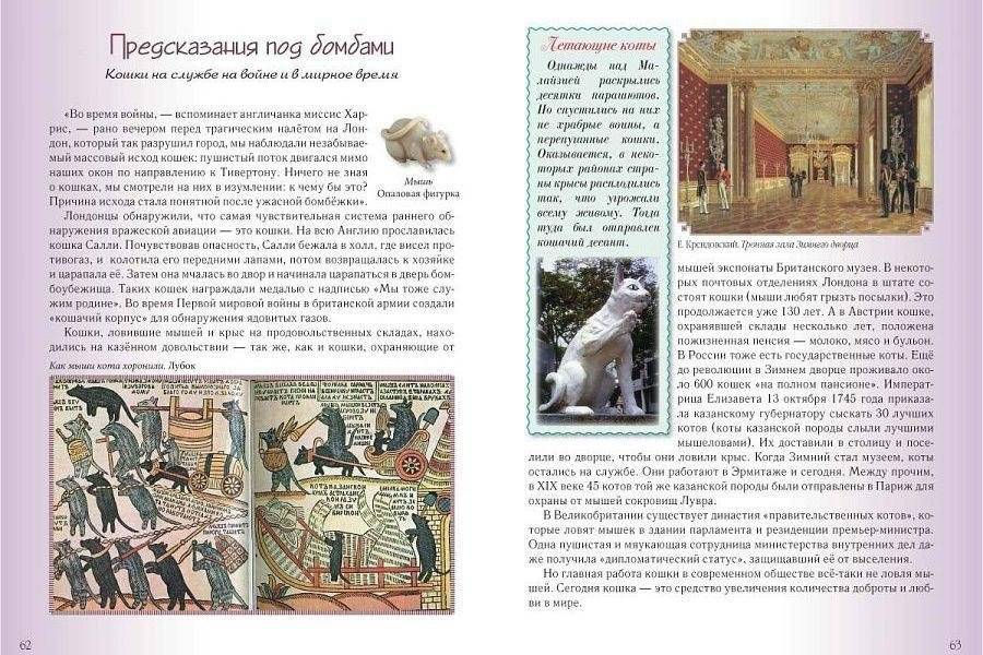 Кошки и собаки. Знакомые и неизвестные фото книги 4