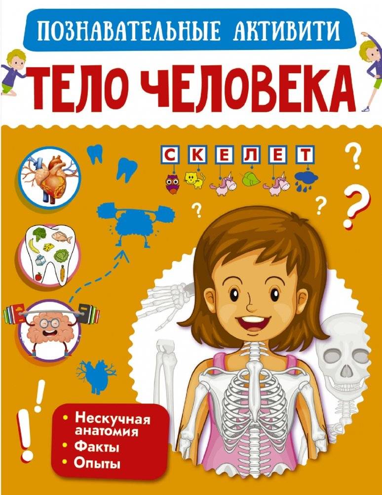 Тело человека | The Human Body