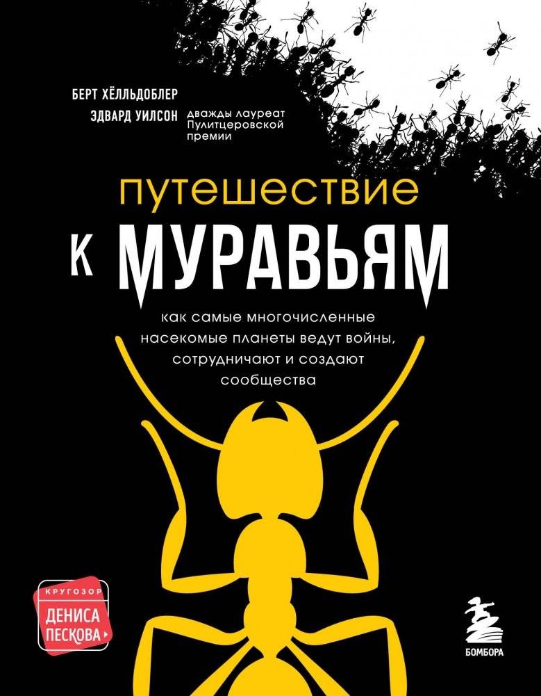 Путешествие к муравьям | Journey to the Ants