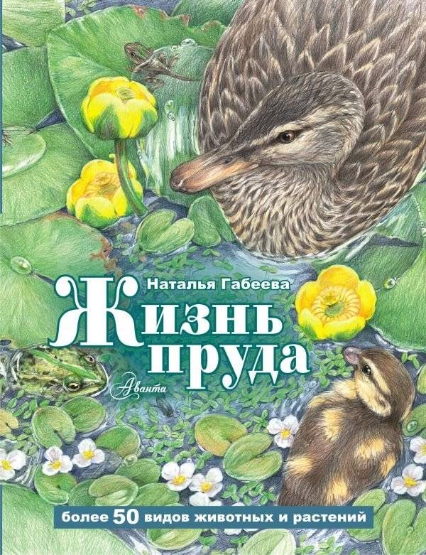 Жизнь пруда | Life of a Pond