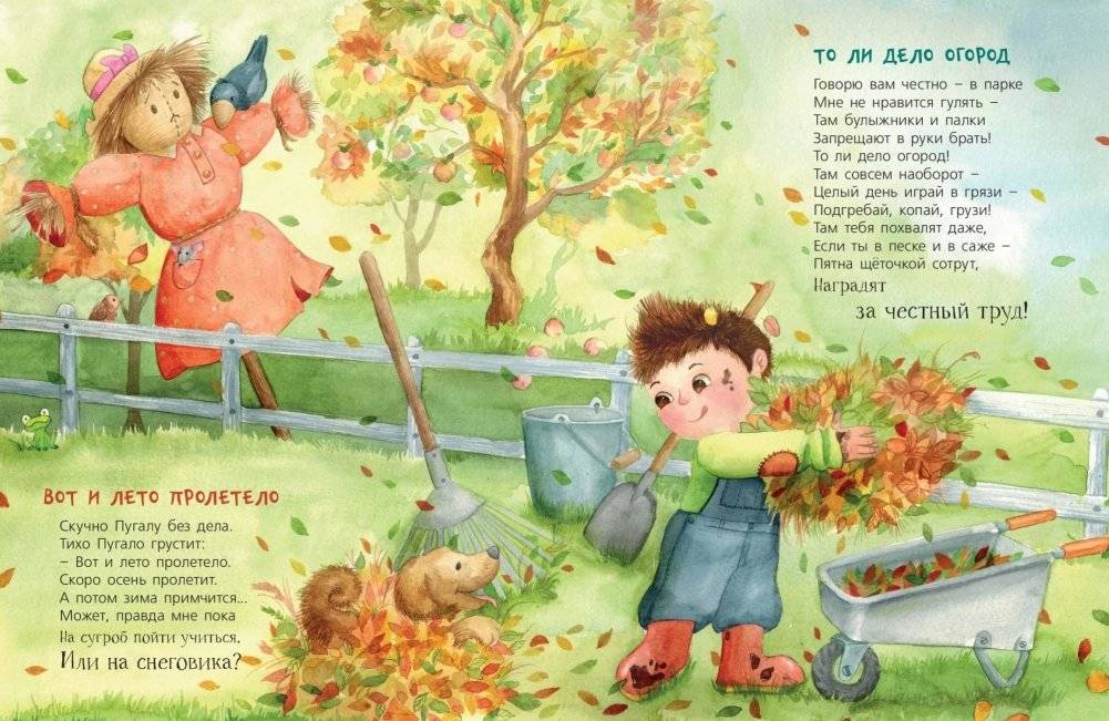 Огородная страна фото книги 5