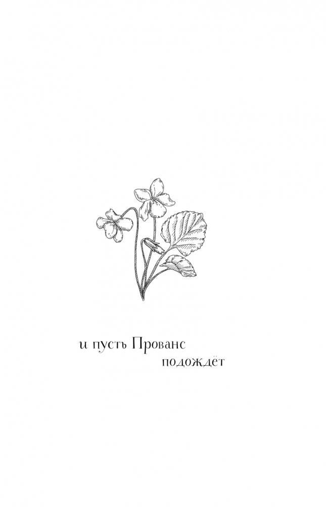 Волшебное лето во Франции. Замки, фиалки и вишневый пирог фото книги 2