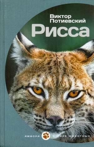 Рисса | Rissa