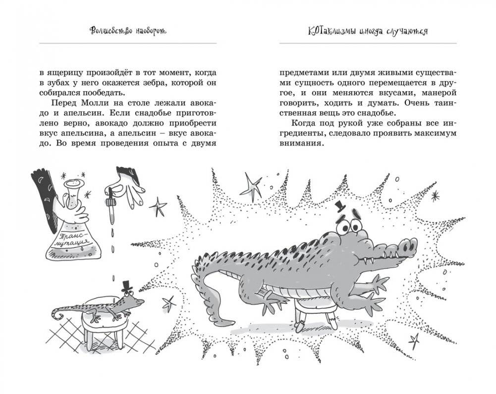 Кот колдуньи Молли. Волшебство наоборот фото книги 4