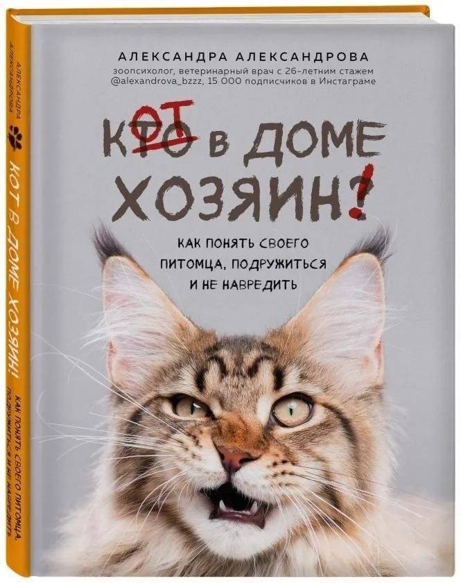 Кот в доме хозяин! Как понять своего питомца, подружиться и не навредить | The Cat is the Master of the House! Understanding Your Pet, Befriending Them, and Avoiding Harm