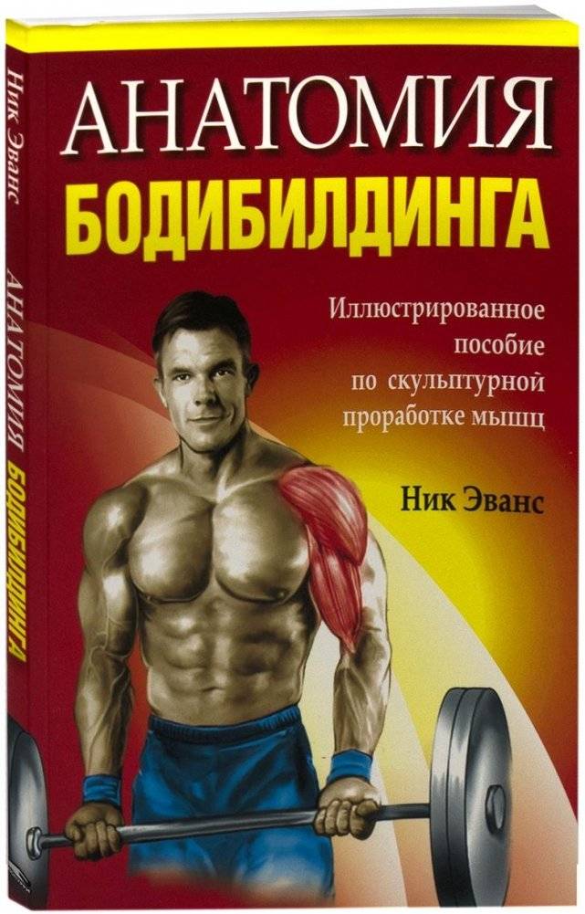 Анатомия бодибилдинга | Anatomy of Bodybuilding