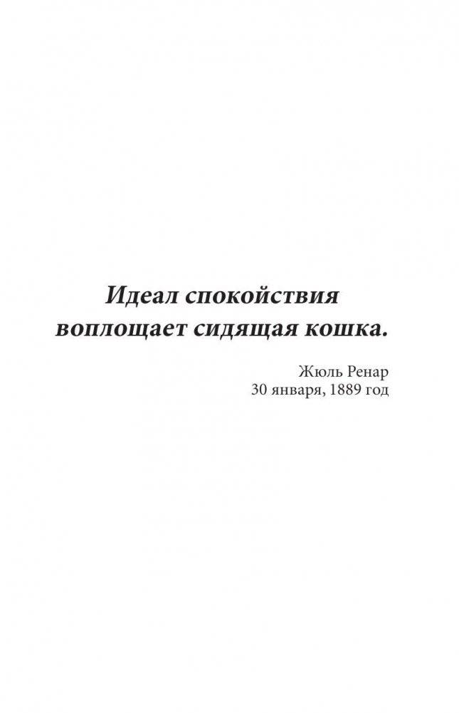 Кототерапия. Мини-раскраска-антистресс для творчества и вдохновения фото книги 3