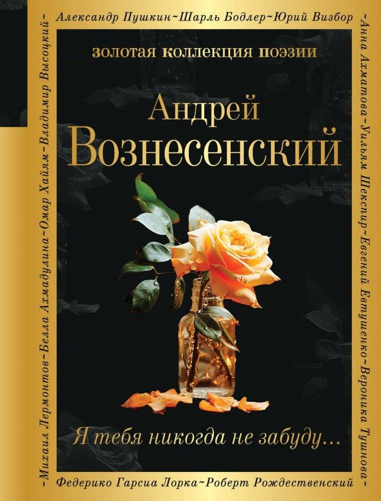 Я тебя никогда не забуду... | I Will Never Forget You...
