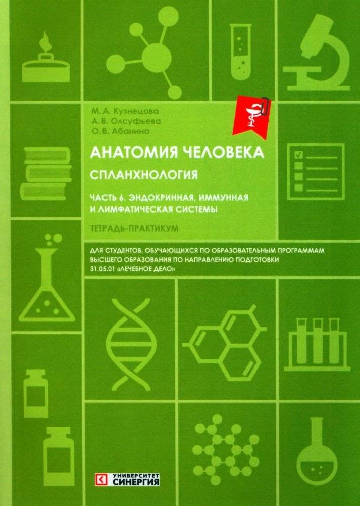 Анатомия человека. Спланхнология. Часть 6. Эндокринная система, иммунная и лимфатическая системы. Тетрадь-практикум | Human Anatomy: Splanchnology, Part 6 - Endocrine, Immune, and Lymphatic Systems. Workbook