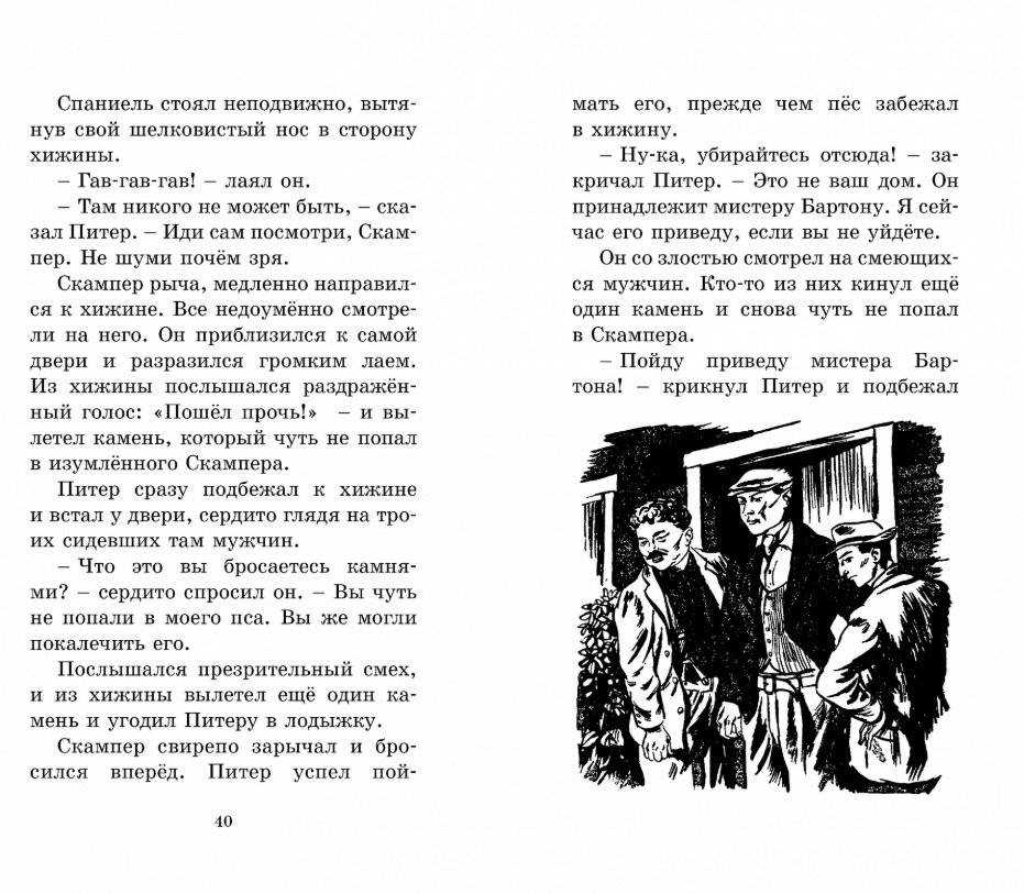 Странная кража фото книги 4