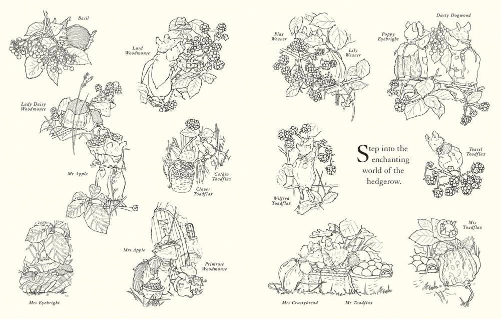Brambly Hedge: Festive Colouring Book фото книги 3