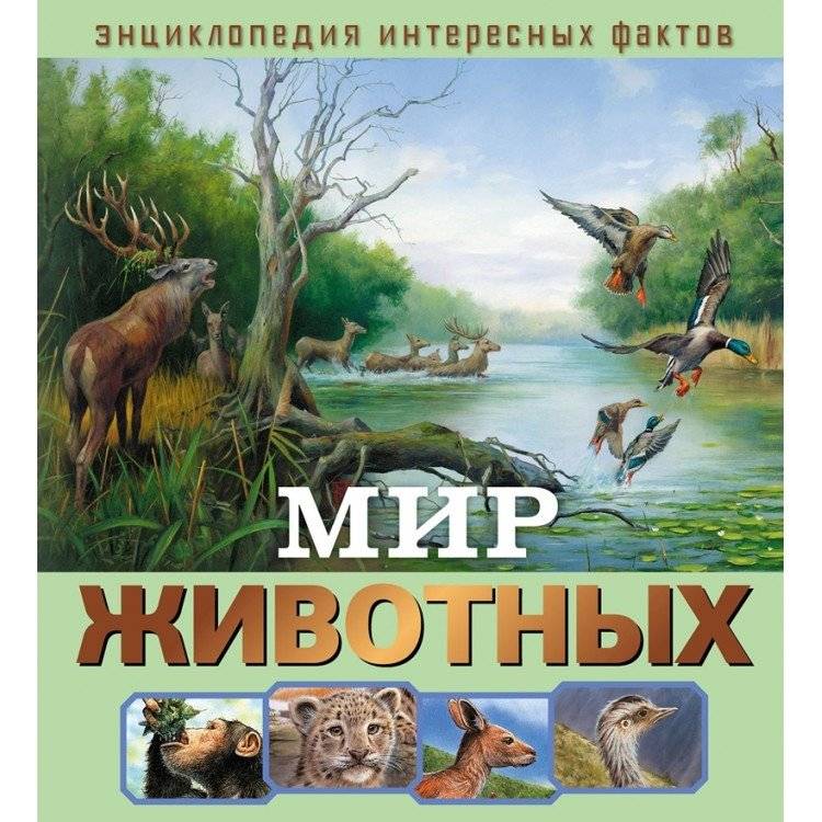 Мир животных | The World of Animals