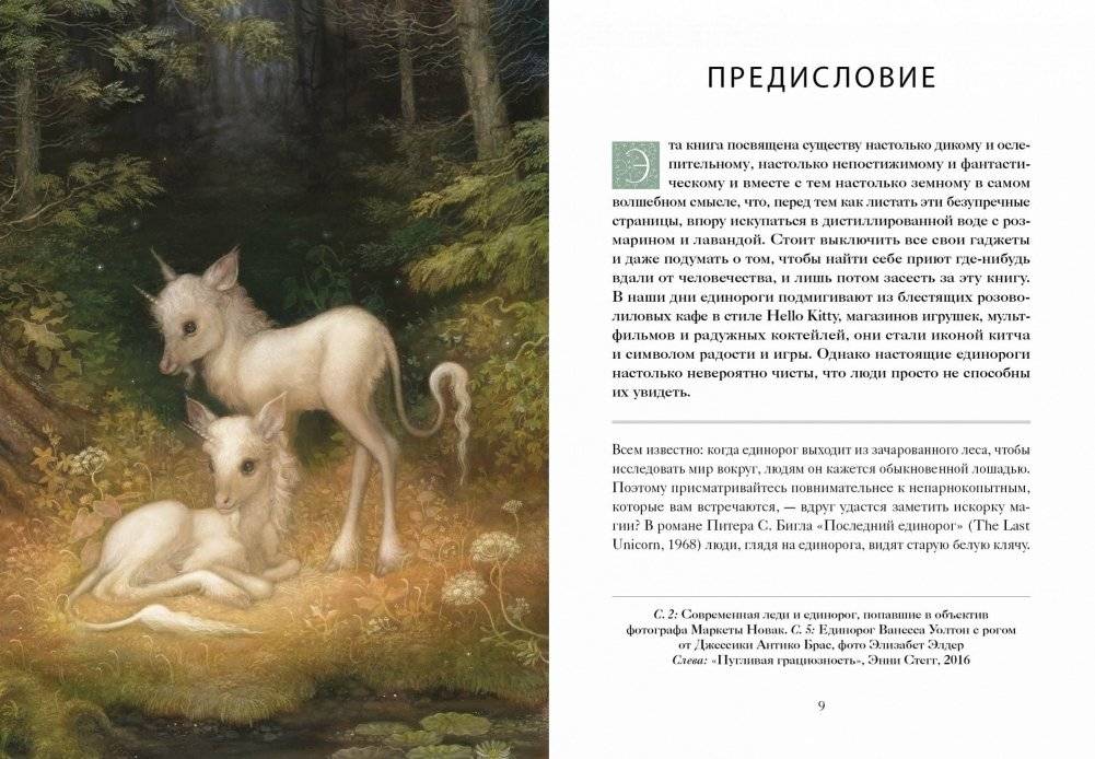 Книга Единорогов. Волшебный путеводитель по страницам фолиантов, глубинам тайных знаний и вершинам изящных искусств фото книги 2