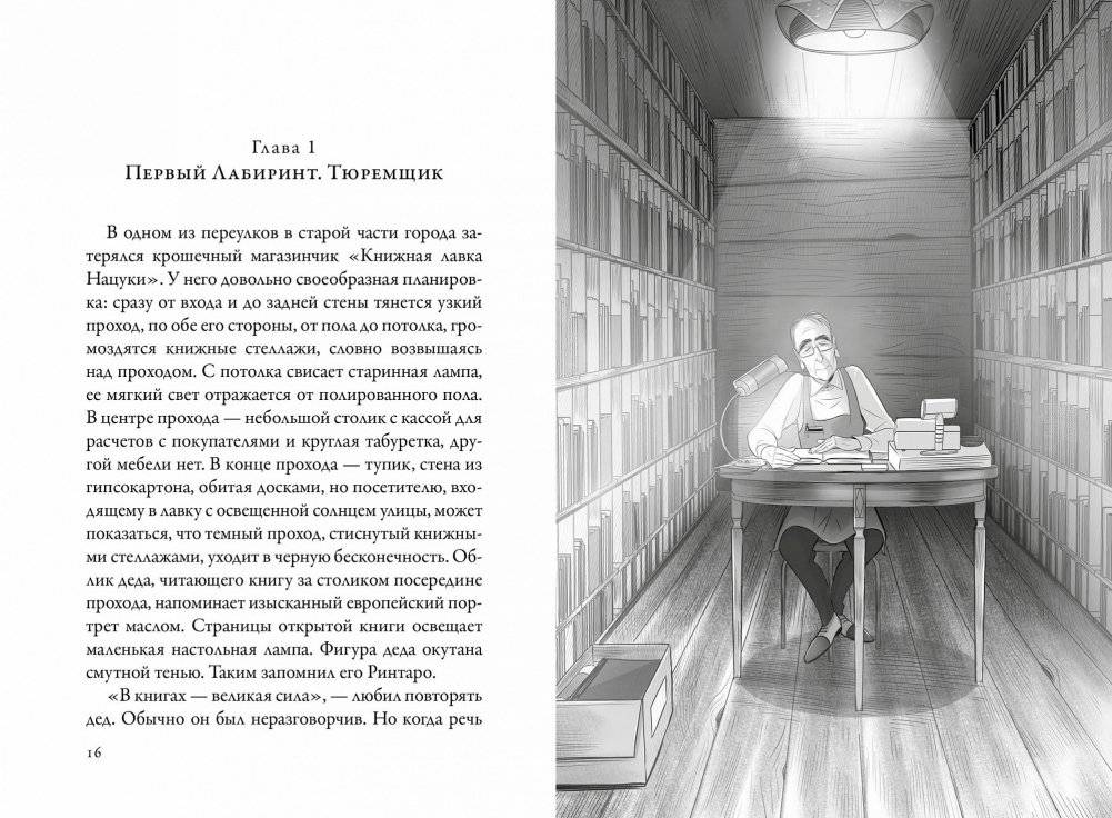 Кот, который любил книги фото книги 2