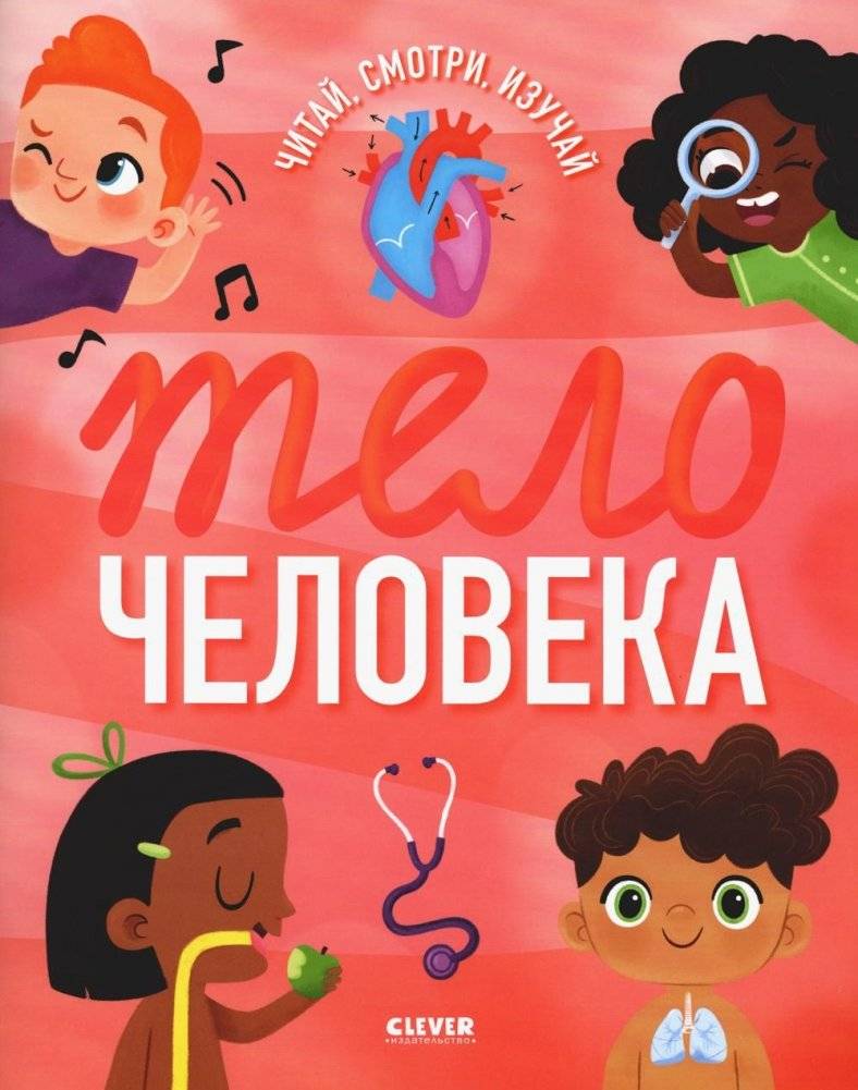 Тело человека | The Human Body