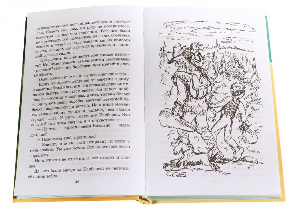 Без семьи фото книги 3