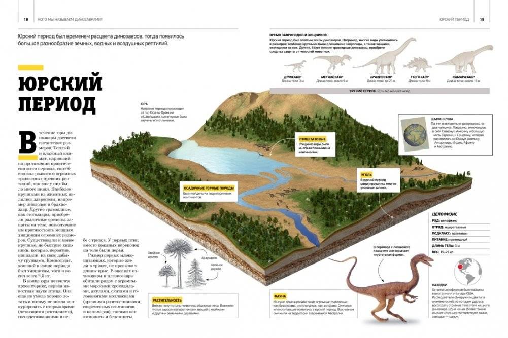 Гигантская энциклопедия динозавров фото книги 5