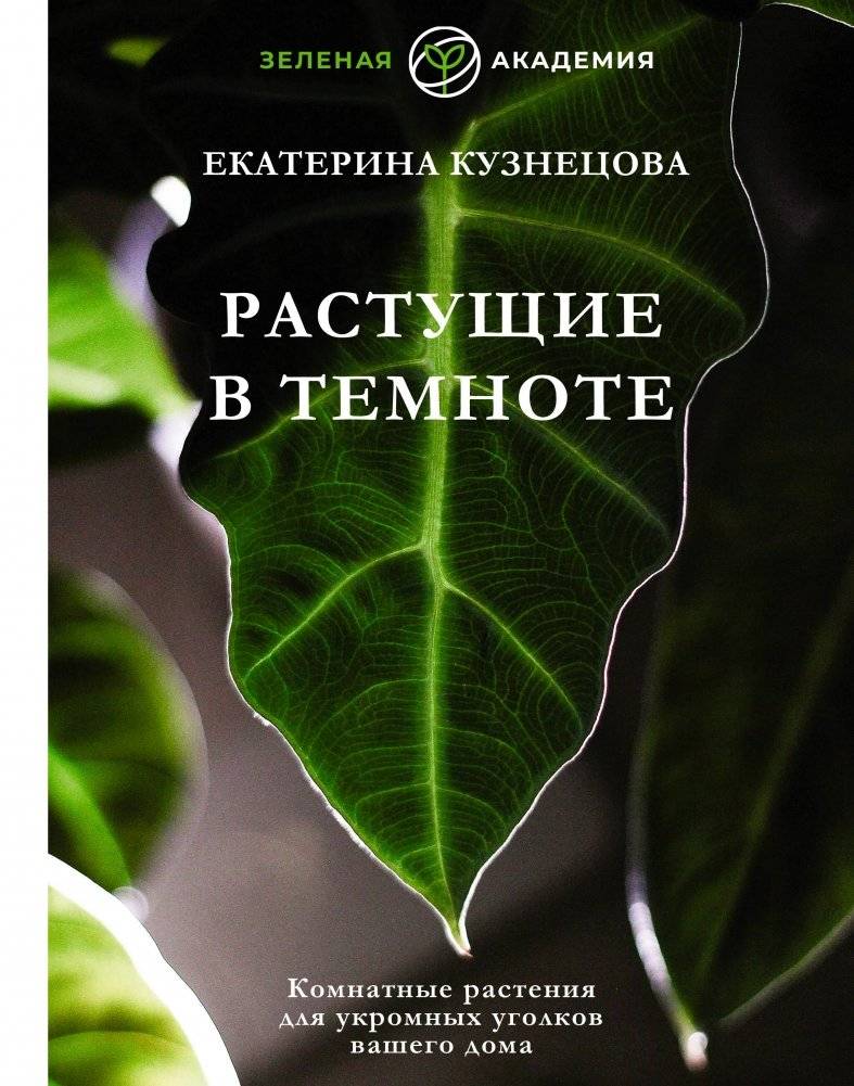 Растущие в темноте. Комнатные растения для укромных уголков вашего дома | Growing in the Dark: Houseplants for Your Home's Shady Corners