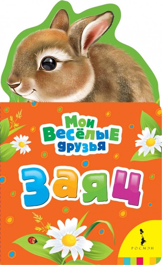 Заяц | Hare