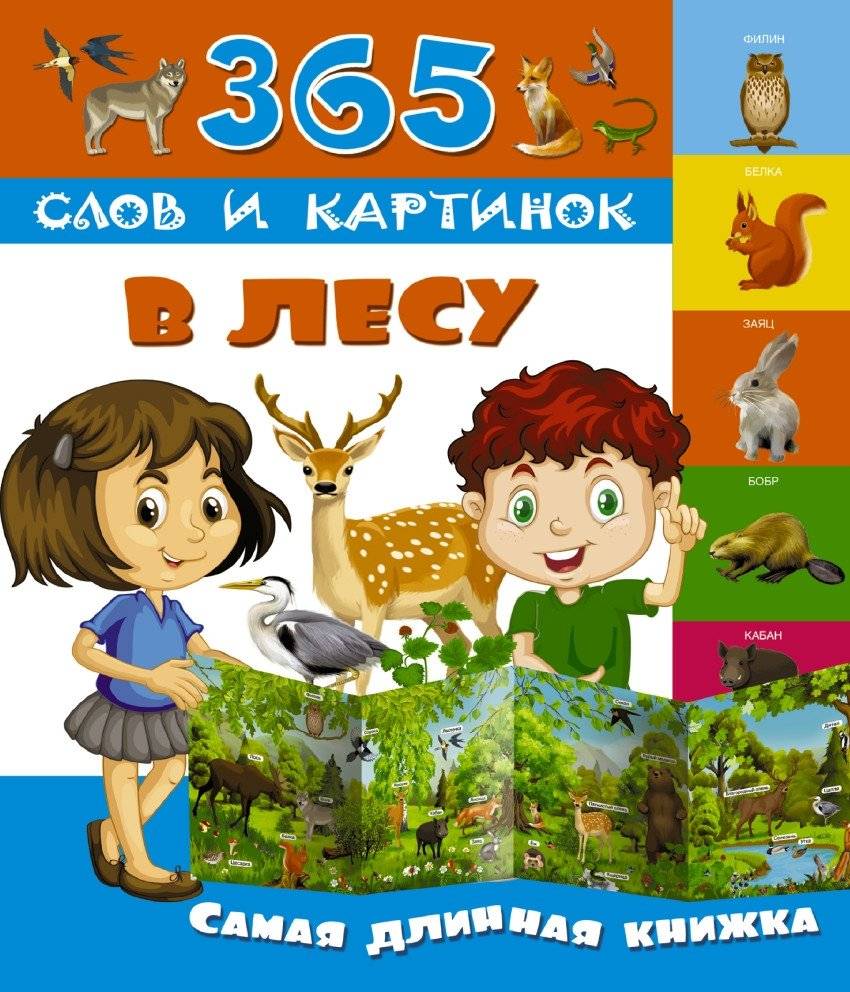 В лесу | In the Forest