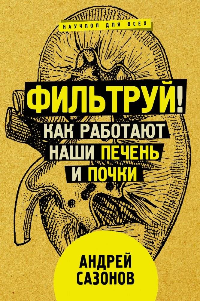 Фильтруй! Как работают наши печень и почки | Filter It Out! How Your Liver and Kidneys Work