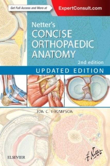 Краткий справочник по ортопедической анатомии Неттера | Netter's Concise Orthopaedic Anatomy