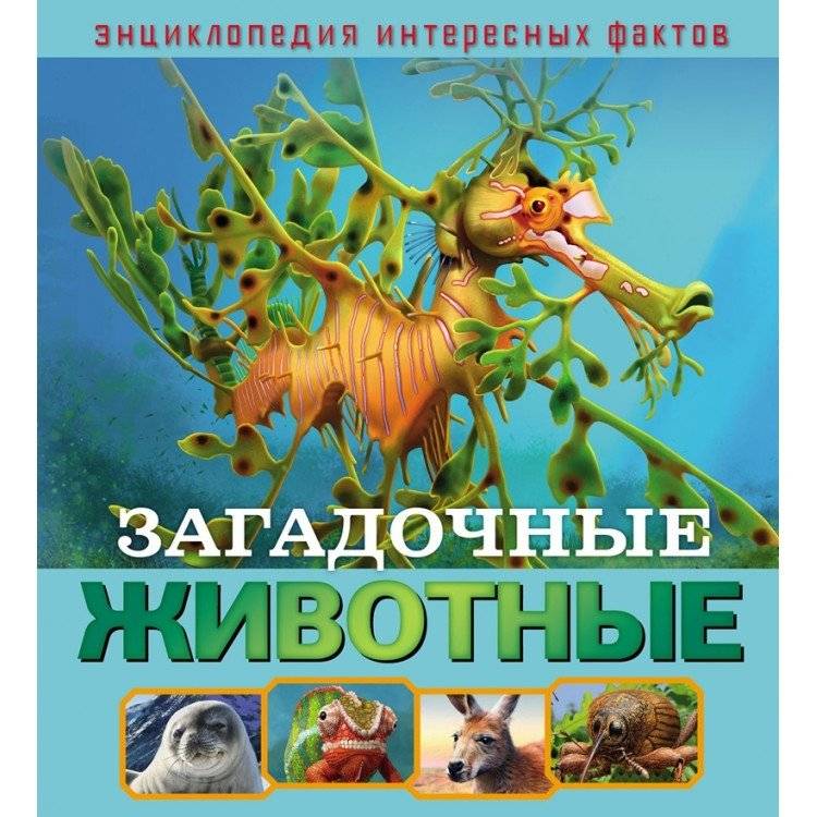 Загадочные животные | Mysterious Animals