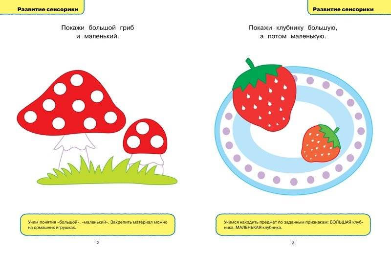 Развивающие тесты для детей 1-2 лет фото книги 3