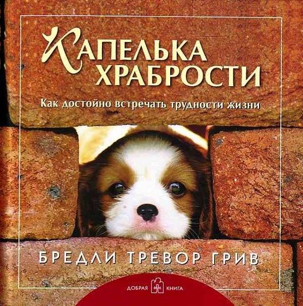 Капелька храбрости. Как достойно встречать трудности жизни | A Drop of Courage: How to Dignify Life's Difficulties