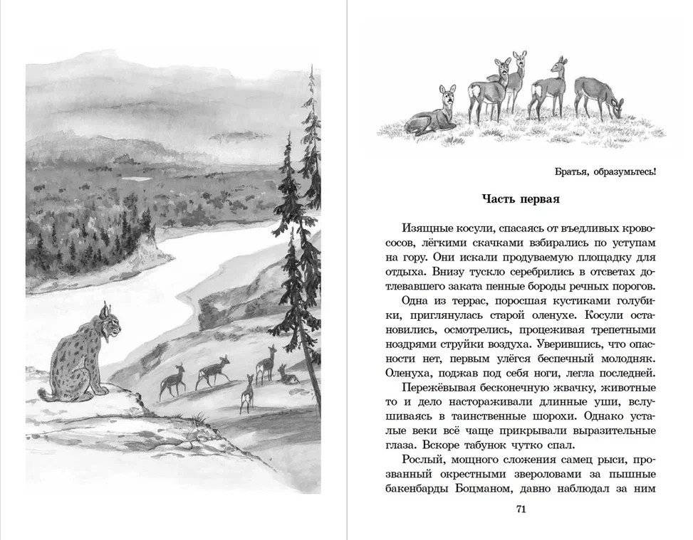 Таежными тропами фото книги 3