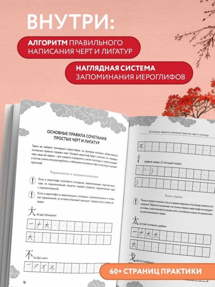 Китайские прописи для начинающих: введение в иероглифику фото книги 3
