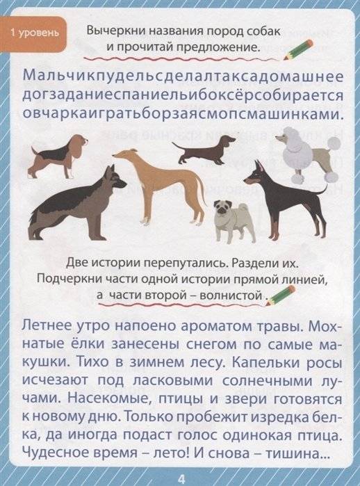 85 занимательных ребусов и заданий. Развиваем мышление фото книги 4
