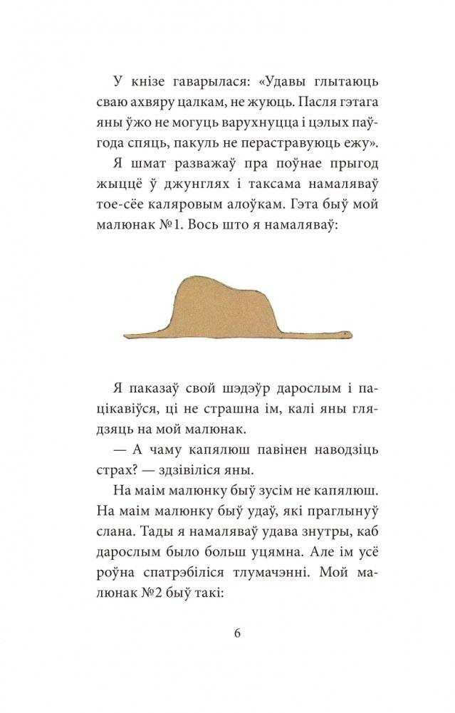 Маленькі прынц фото книги 6