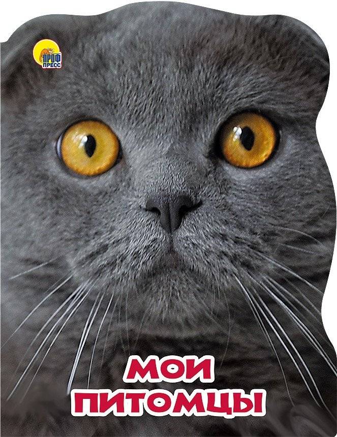 Мир животных. Мои питомцы | Animal World. My Pets