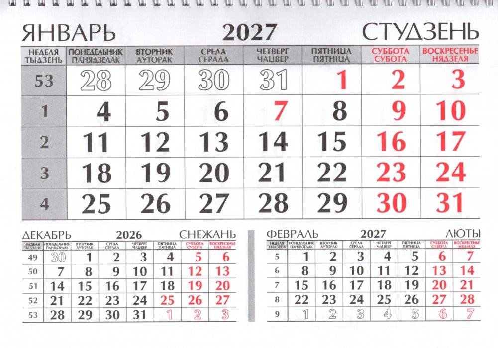 Календарь настенный квартальный на 2027 год. "Год Козы" фото книги 2