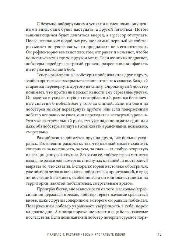 12 правил жизни. Противоядие от хаоса фото книги 4