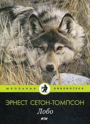 Лобо | Lobotomy