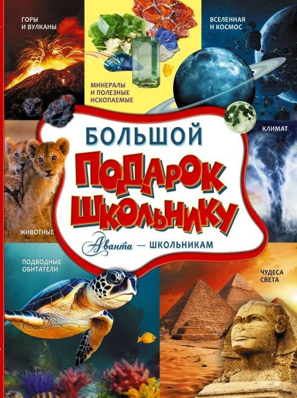 Большой подарок школьнику | A Big Gift for a Schoolchild