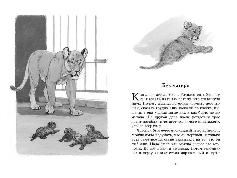 Фомка - белый медвежонок фото книги 3