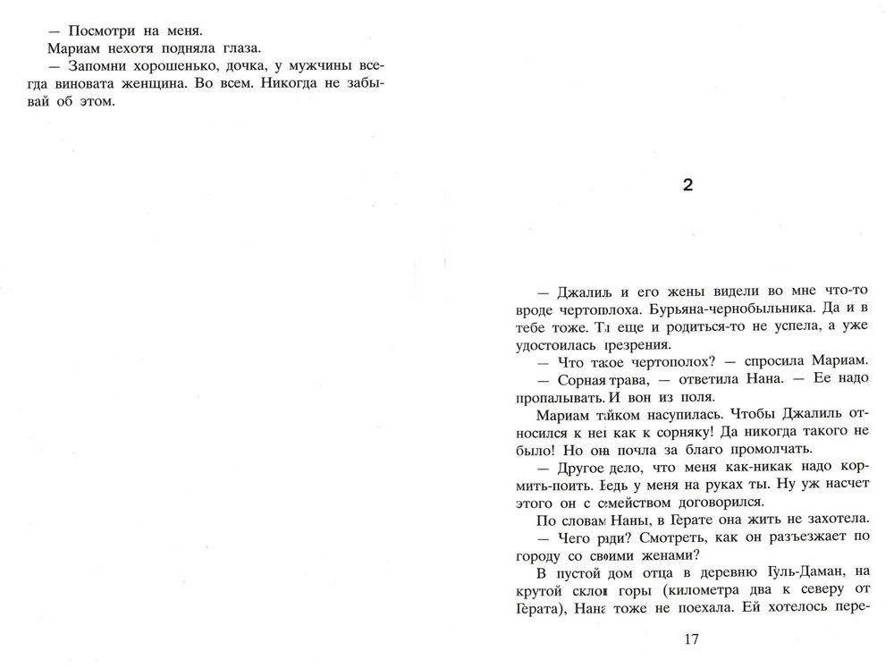 Тысяча сияющих солнц фото книги 5
